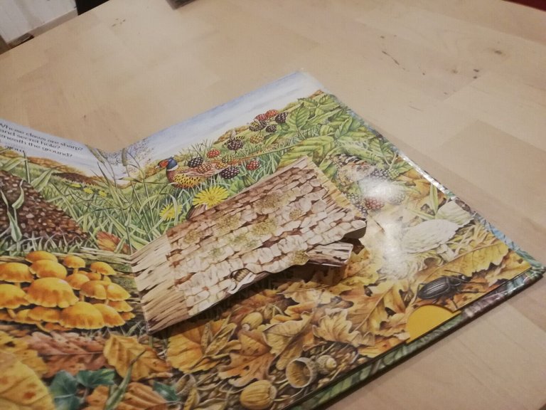 Nature's hidden world, a pop up book, Ingid Selberg, 1983