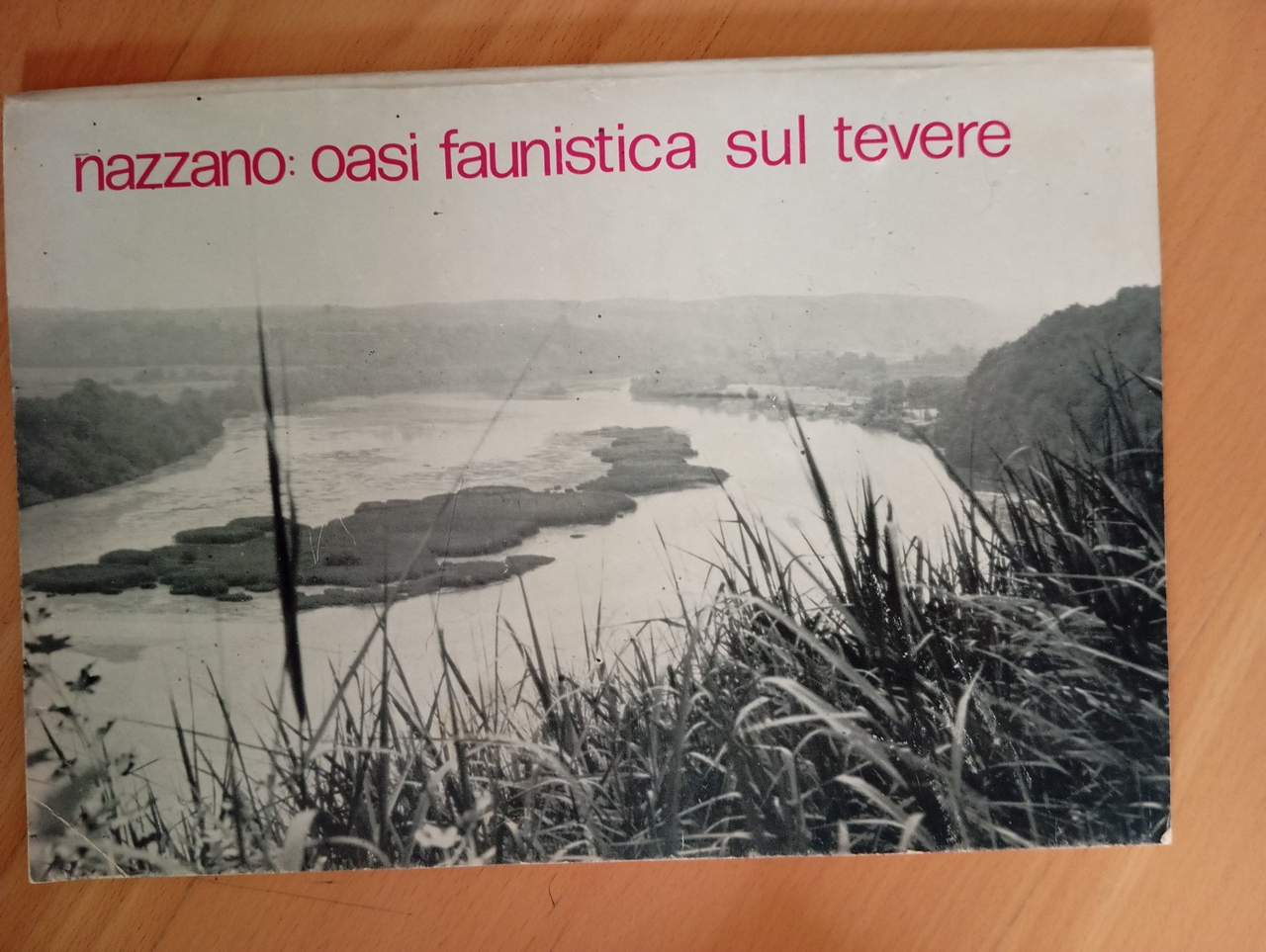 Nazzano: oasi faunistica sul Tevere, WWF, Ammministrazione del comune, 1977 | Immagine principale