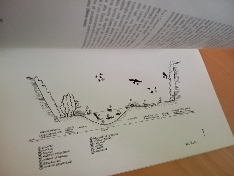Nazzano: oasi faunistica sul Tevere, WWF, Ammministrazione del comune, 1977 | Immagine Gallery 10