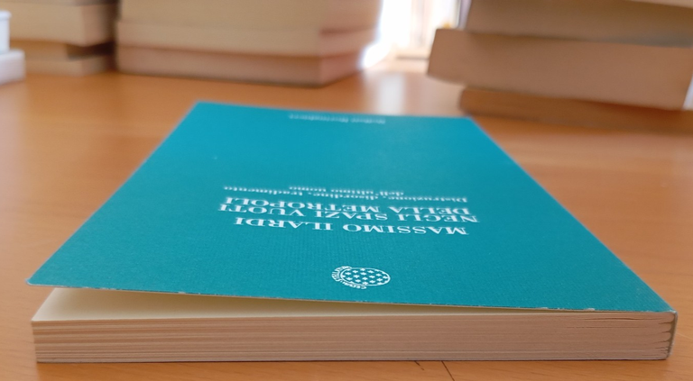 Negli spazi vuoti della metropoli, Massimo Ilardi, Bollati Boringhieri, 1999