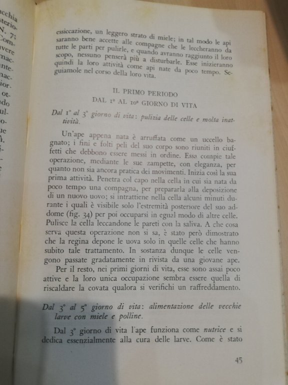 Nel mondo delle api, K. v. Frisch, Edizioni Agricole, 1951