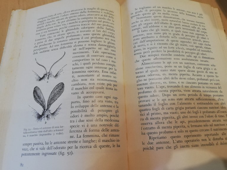 Nel mondo delle api, K. v. Frisch, Edizioni Agricole, 1951