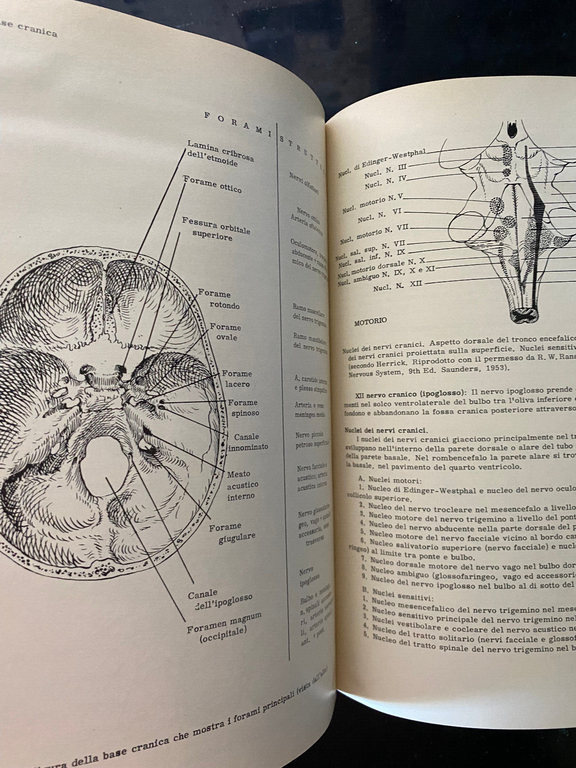 Neuroanatomia correlazionistica e neurologia funzionale, Chusid McDonald, 1968