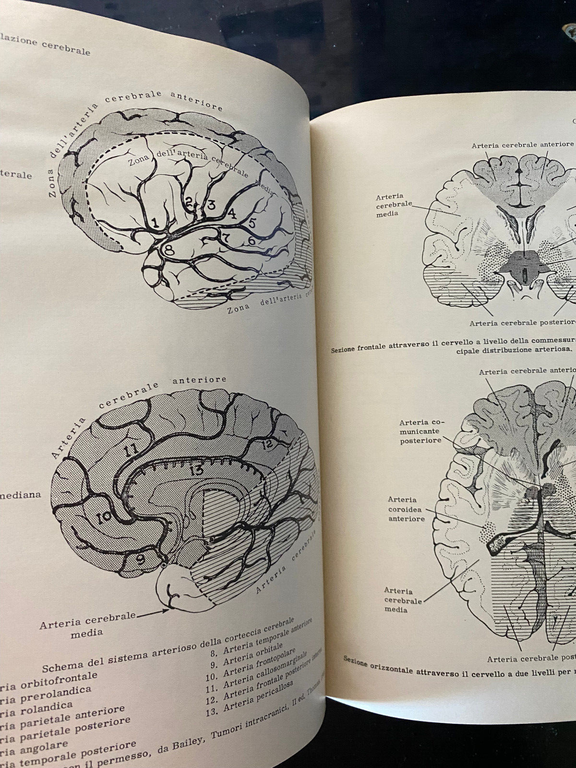 Neuroanatomia correlazionistica e neurologia funzionale, Chusid McDonald, 1968