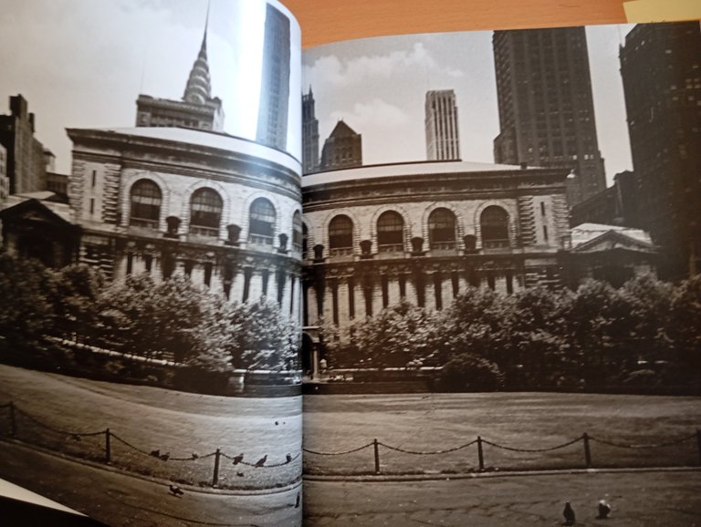 New York. Born back into the past, Alvi - Riotta, … | Immagine Gallery 10