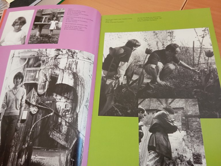 Niki de Saint Phalle, Skira, 2009