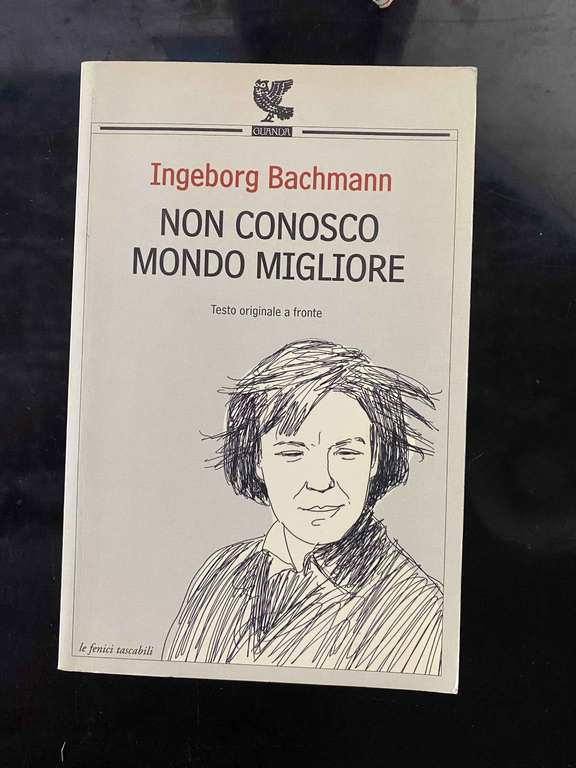 Non conosco mondo migliore, Ingeborg Bachmann, 2004, Guanda