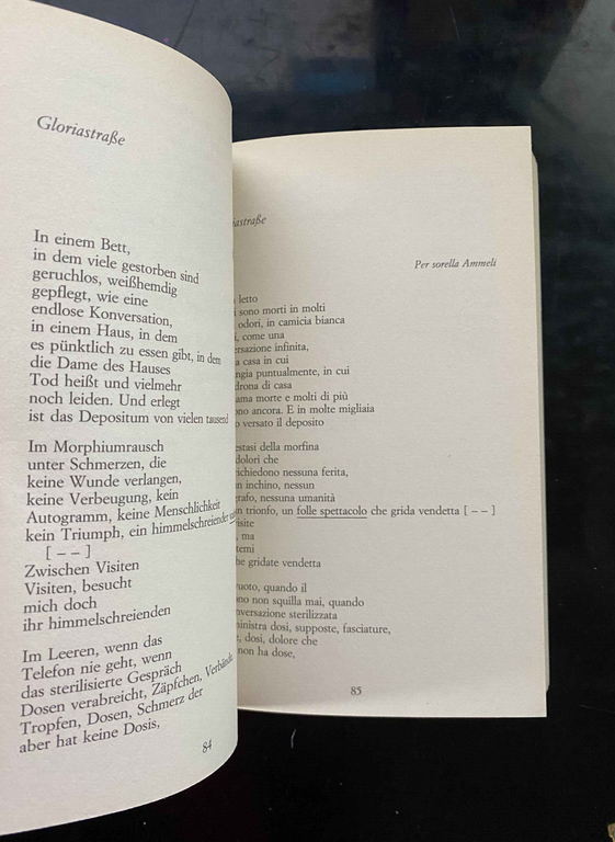 Non conosco mondo migliore, Ingeborg Bachmann, 2004, Guanda