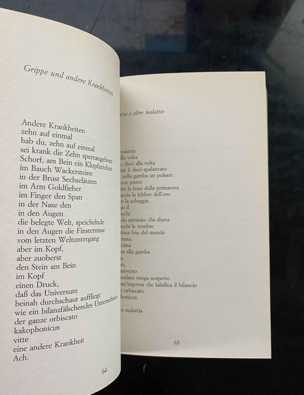 Non conosco mondo migliore, Ingeborg Bachmann, 2004, Guanda