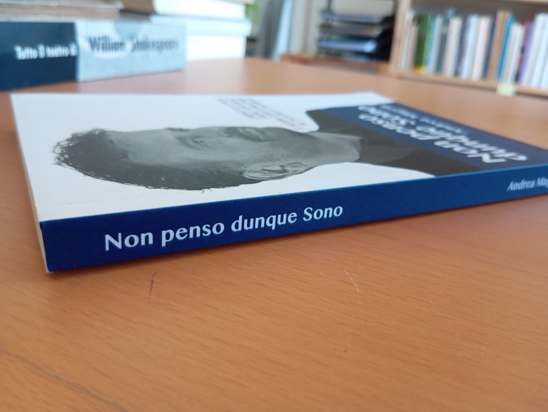 Non penso dunque sono, Andrea Magrin, 2016