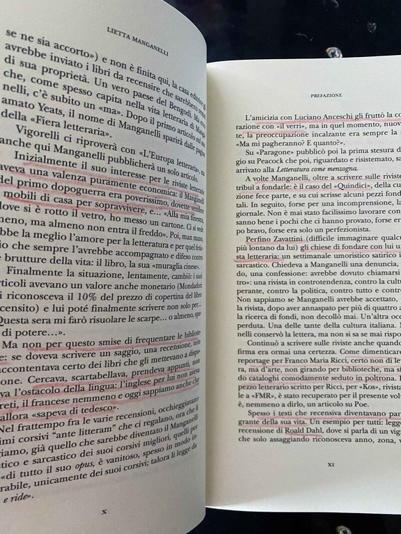 Non sparate sul recensore, Giorgio Manganelli, Aragno, 2018