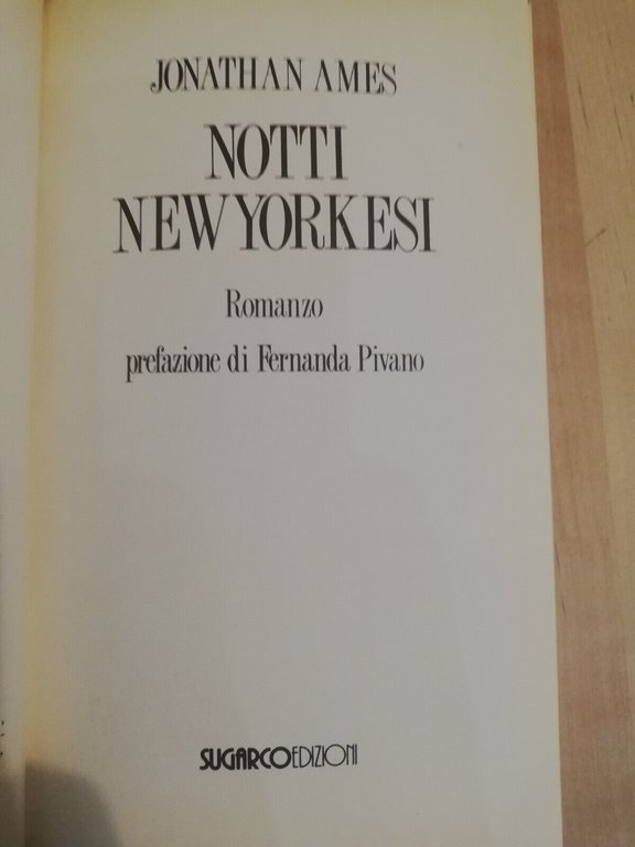 Notti newyorkesi, Jonathan Ames, SugarCo Tasco, 1990