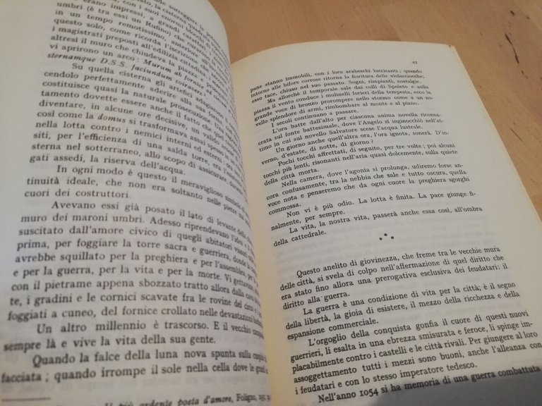 Nova vita di San Francesco, Arnaldo Fortini, Carucci, 1981