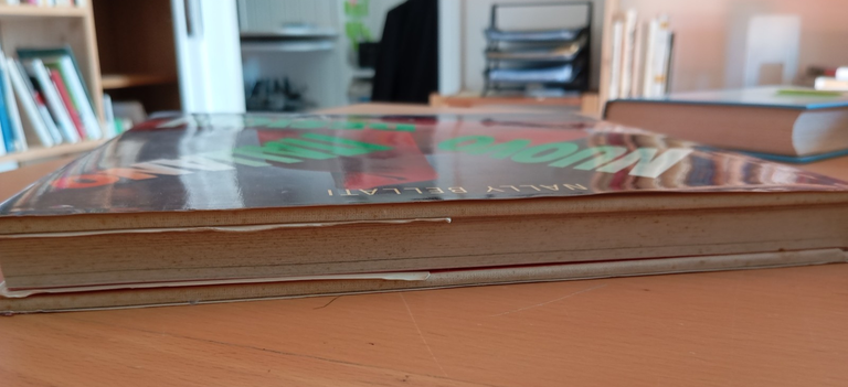 Nuovo Design Italiano, Nanny Bellati, introduzione Alberto Alessi, Rizzoli, 1991 | Immagine Gallery 3