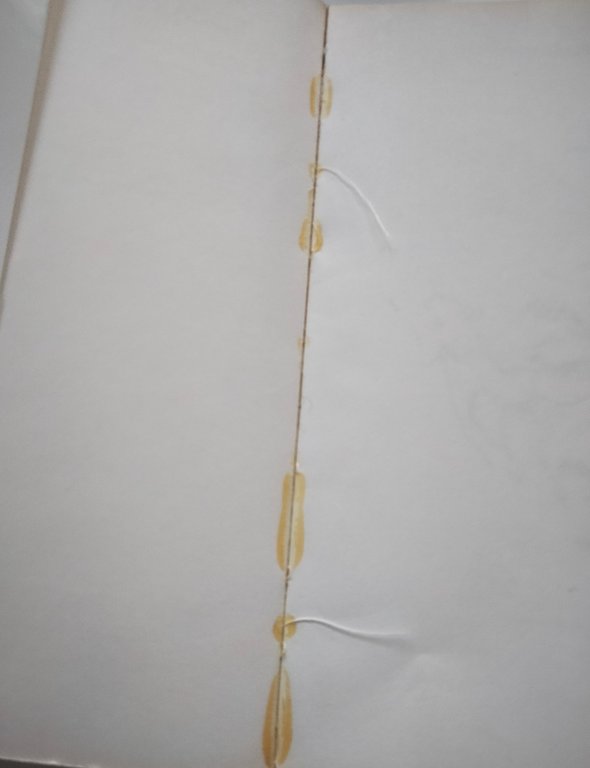 'O canisto, Eduardo De Filippo, Teatro San Ferdinando, 1971