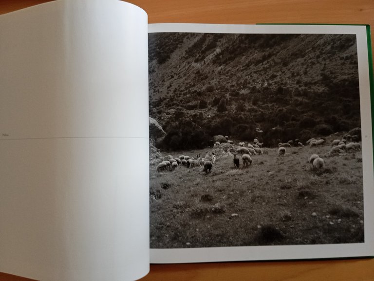 Old Calabria. I luoghi del Grand Tour, Mimmo Jodice, Federico … | Immagine Gallery 10
