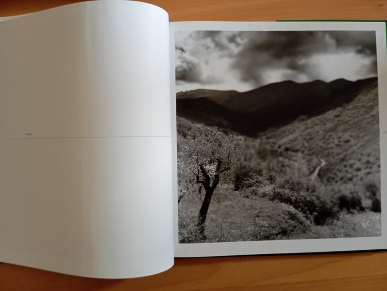 Old Calabria. I luoghi del Grand Tour, Mimmo Jodice, Federico … | Immagine Gallery 9