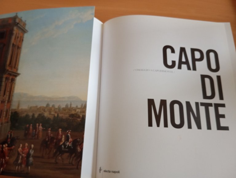 Omaggio a Capodimonte. Catalogo da Caravaggio e Picasso, Electa Napoli, …