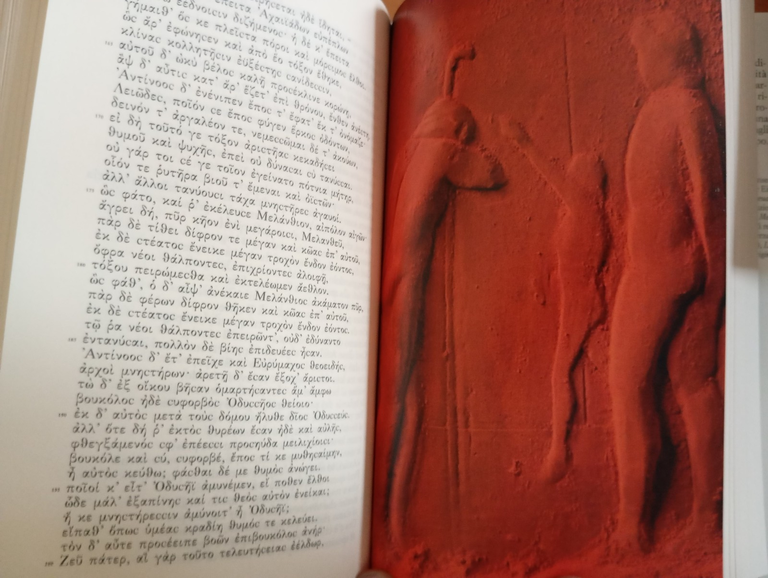 Omero, Odissea, Millenni Einaudi, 2010, come nuovo | Immagine Gallery 10