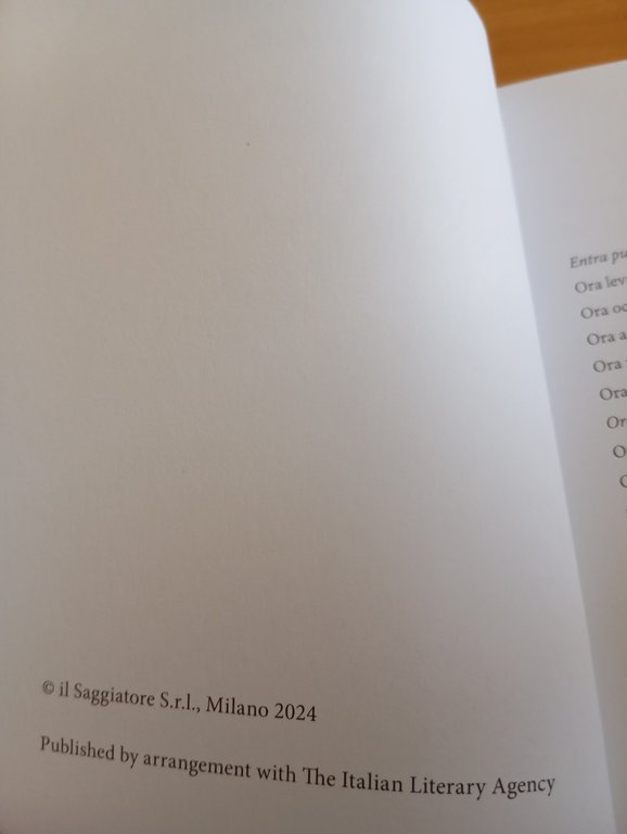 Ore incerte, Silvio Perrella, Il Saggiatore, 2024 | Immagine Gallery 6