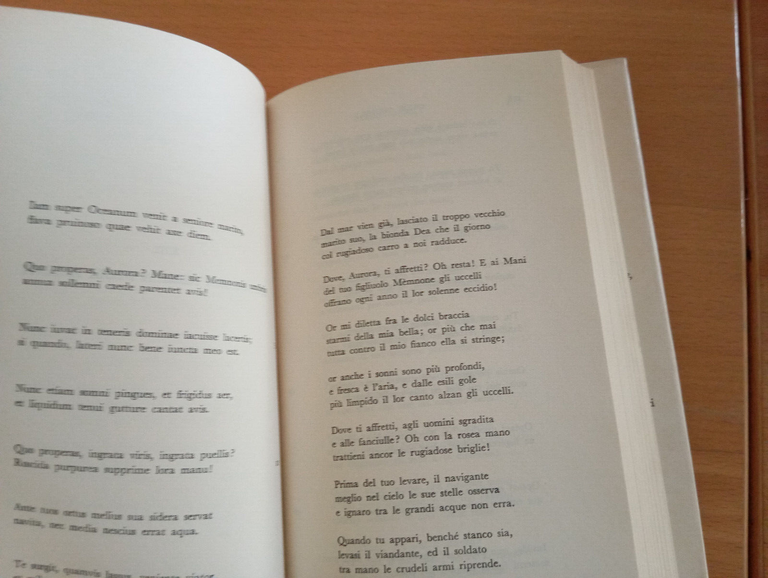 Ovidio, amori, testo a fronte, Zanichelli, 1986