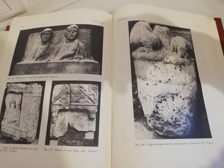 Padova antica. Da comunit paleoveneta a citt romano-cristiana, 1981, LINT