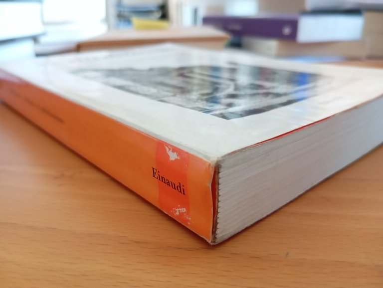 Palladio e il palladianesimo, Rudolf Wittkower, Einaudi, 1984 | Immagine Gallery 4