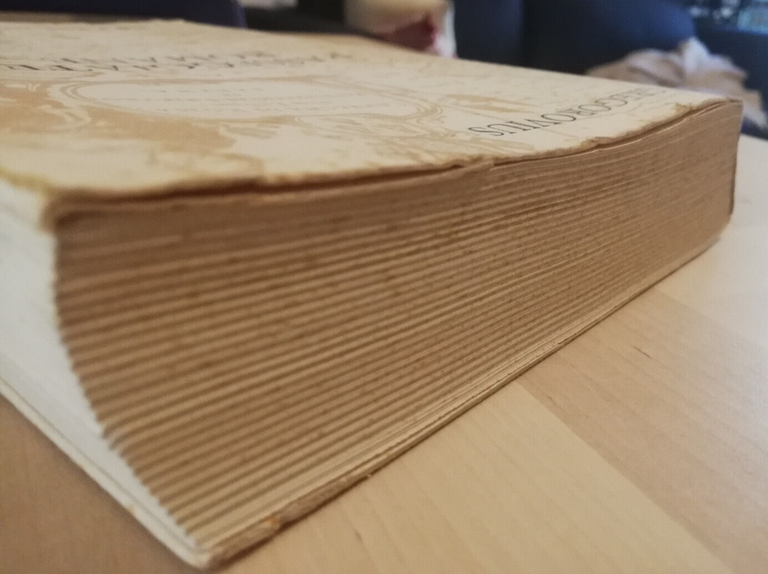 Passeggiate romane, Ferdinand Gregorovius, 1979, M. Spada Editore