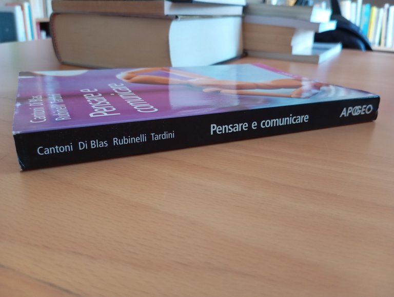 Pensare e comunicare, Cantoni Di Blas Rubinelli Tardini, Apogeo, 2008
