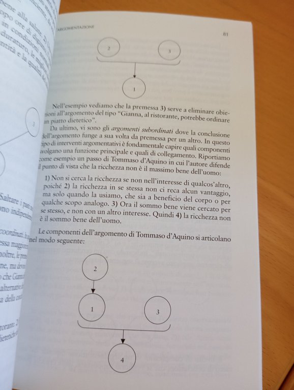 Pensare e comunicare, Cantoni Di Blas Rubinelli Tardini, Apogeo, 2008