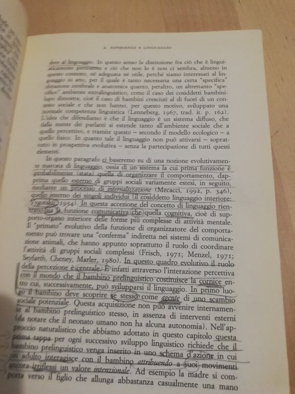 Pensiero e linguaggio, Daniele Gambarara (a cura), 1996, La Nuova …