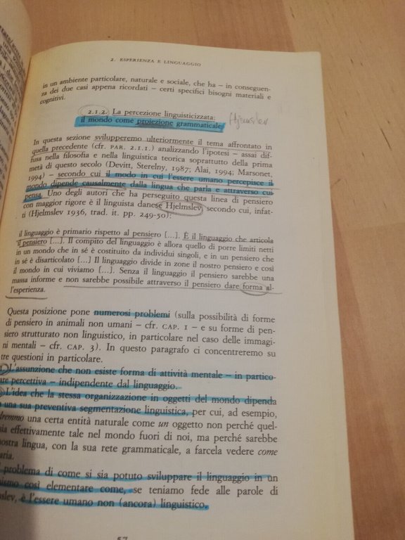 Pensiero e linguaggio, Daniele Gambarara (a cura), 1996, La Nuova …