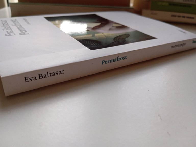 Permafrost, Eva Baltasar, Nottetempo, 2019