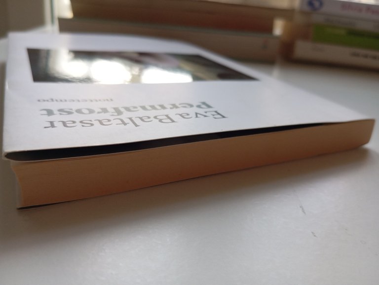 Permafrost, Eva Baltasar, Nottetempo, 2019