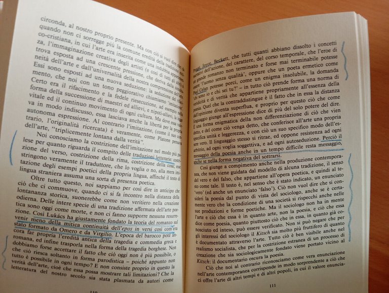 Persuasività della letteratura, Hans Georg Gadamer, Transeuropa, 1988