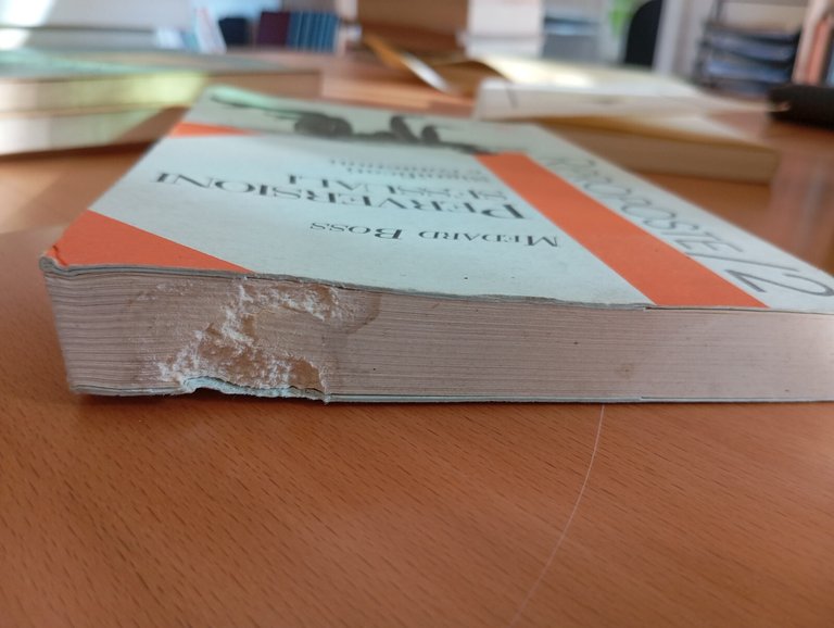 Perversioni sessuali, Medard Boss, Vivarium, 1998 | Immagine Gallery 6