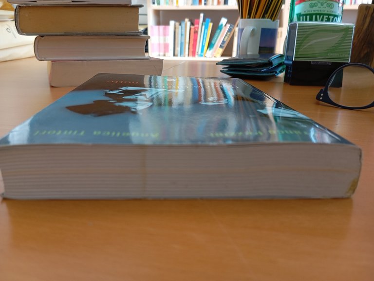 Peter e Chris i dioscuri della notte, Franco Pezzini - …