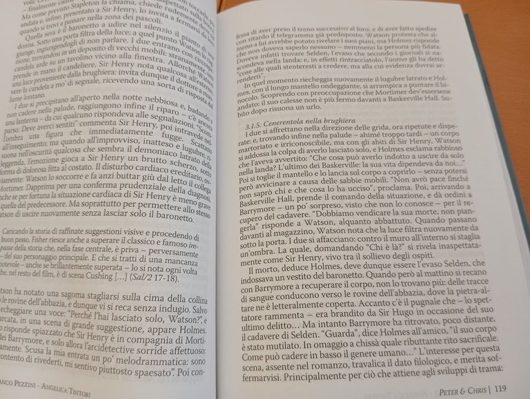 Peter e Chris i dioscuri della notte, Franco Pezzini - …