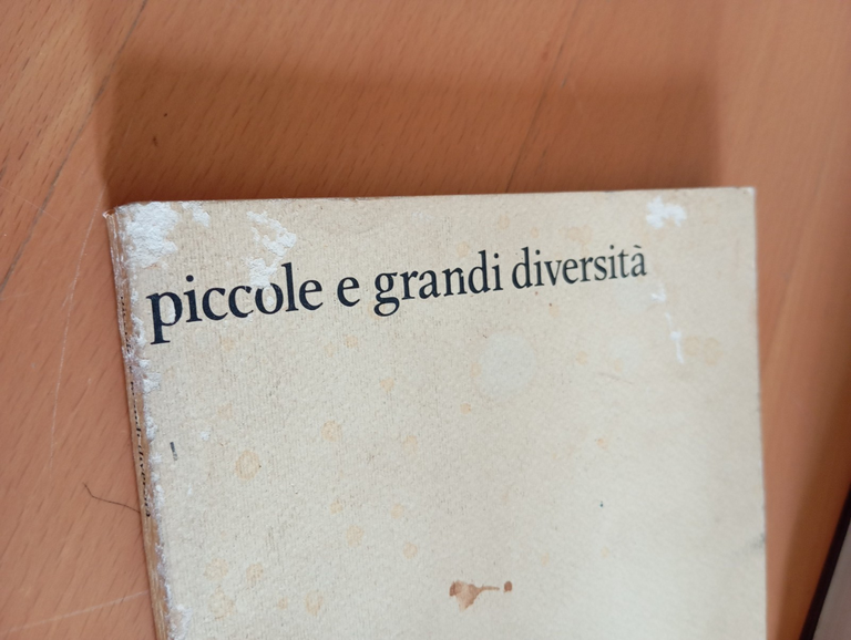 Piccole grandi diversità. Memoria. Rivista di storia delle donne, Numero … | Immagine Gallery 3