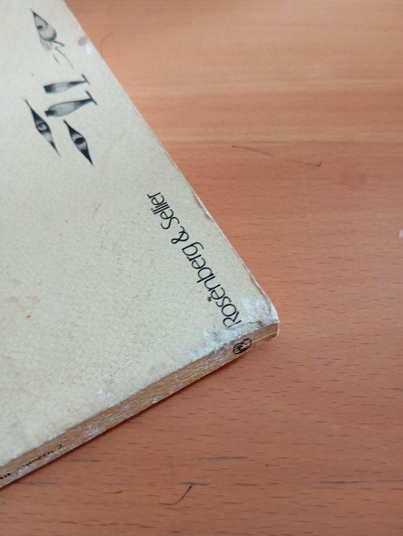 Piccole grandi diversità. Memoria. Rivista di storia delle donne, Numero … | Immagine Gallery 5
