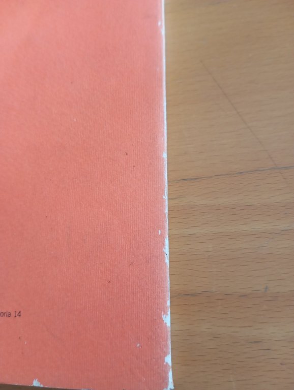 Piccole grandi diversità. Memoria. Rivista di storia delle donne, Numero … | Immagine Gallery 8