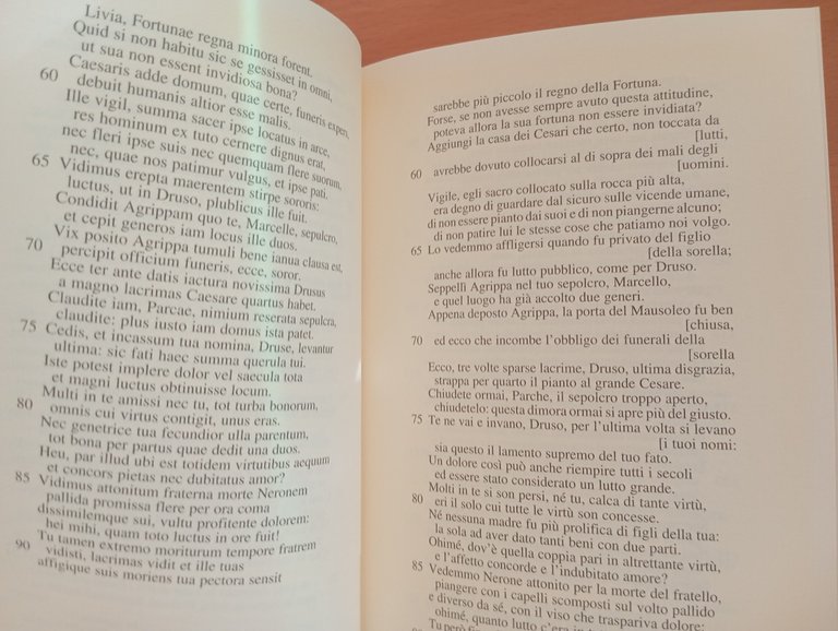 Poesia anonima latina, Augusto Fraschetti, L'erma di Bretschneider, 2005 | Immagine Gallery 11