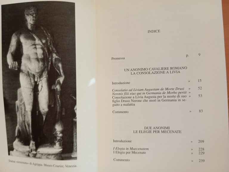 Poesia anonima latina, Augusto Fraschetti, L'erma di Bretschneider, 2005 | Immagine Gallery 9
