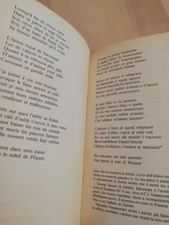 Poesie, Guillaume Apollinaire, Rizzoli