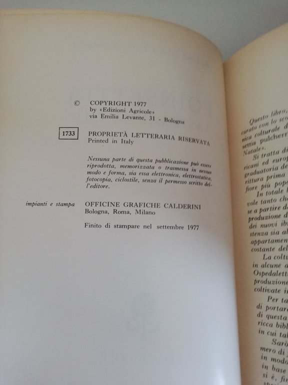 Poinsettia. La stella di Natale, Elena Accati Garibaldi, 1977, Edagricole | Immagine Gallery 7