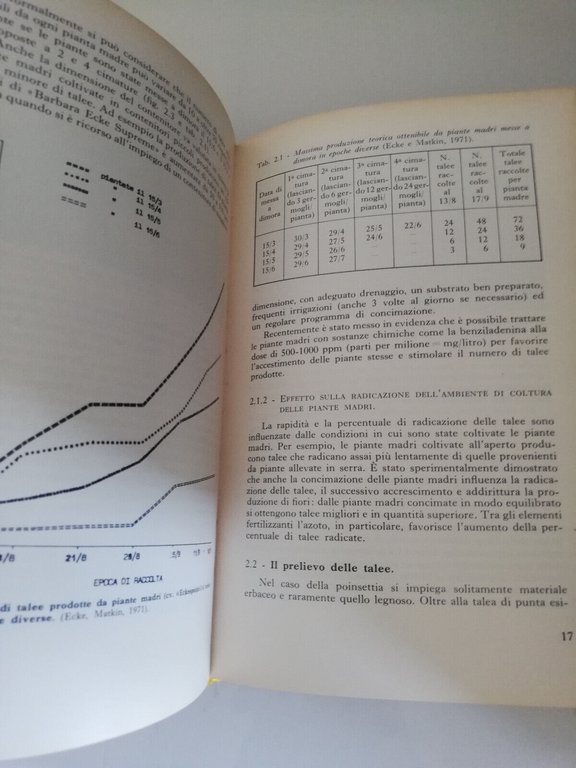 Poinsettia. La stella di Natale, Elena Accati Garibaldi, 1977, Edagricole