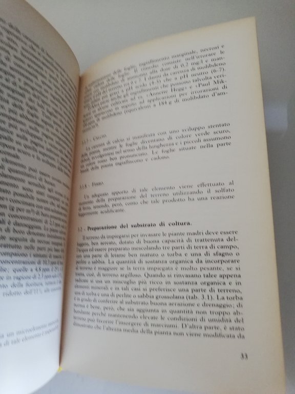 Poinsettia. La stella di Natale, Elena Accati Garibaldi, 1977, Edagricole | Immagine Gallery 18