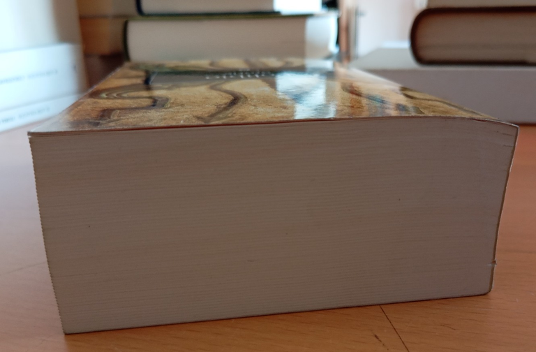 Polibio, Storie, Oscar Classici Mondadori, 2004 | Immagine Gallery 3