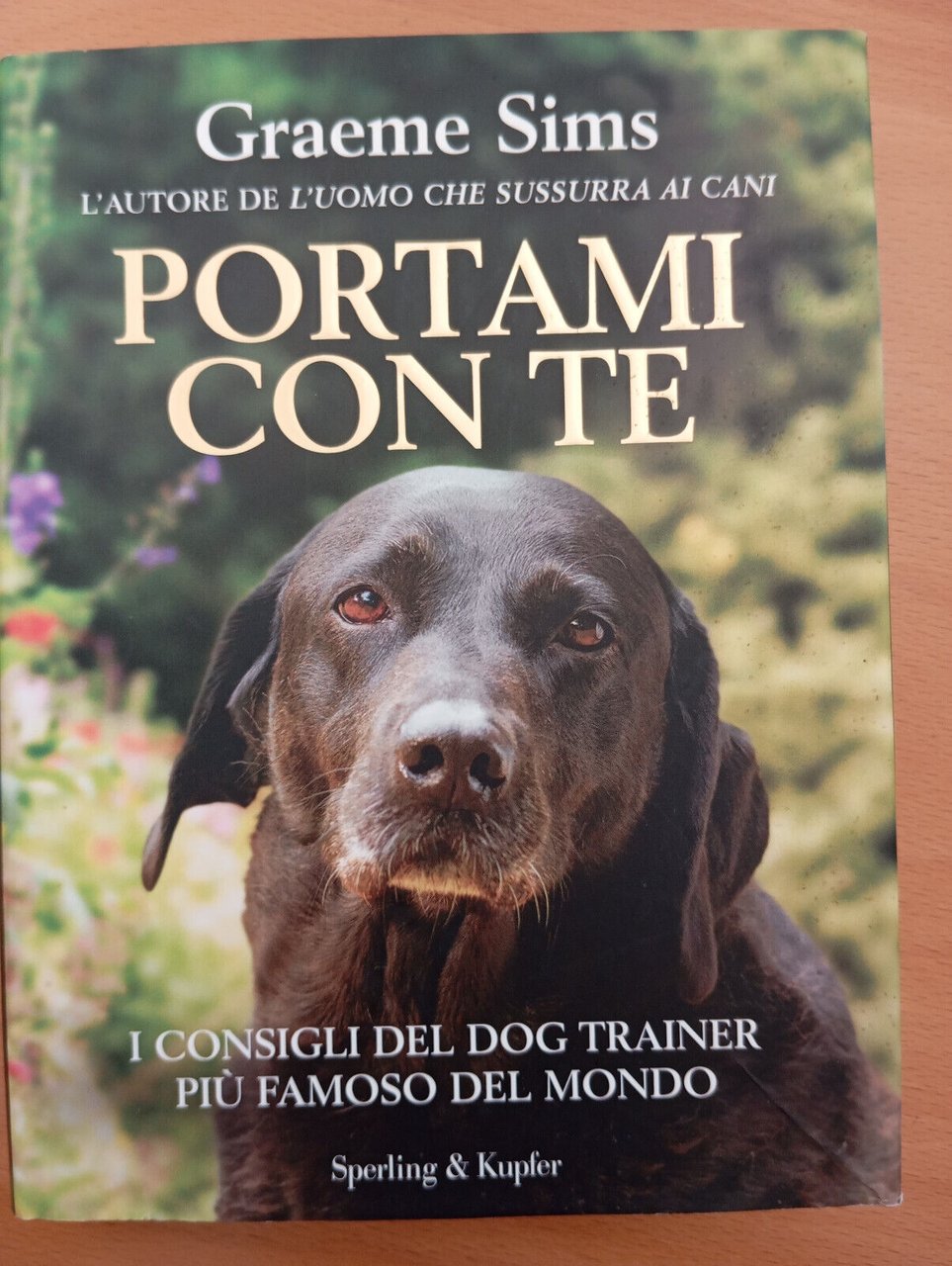 Portami con te, Graeme Sims, Sperling, 2009