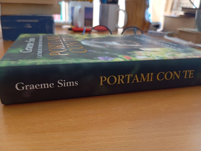 Portami con te, Graeme Sims, Sperling, 2009